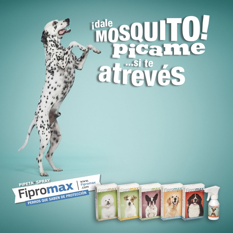 animals 04 - fipromax labyes