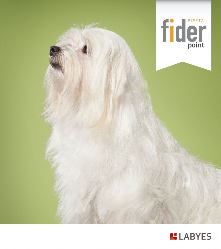 animals 11 - fider labyes