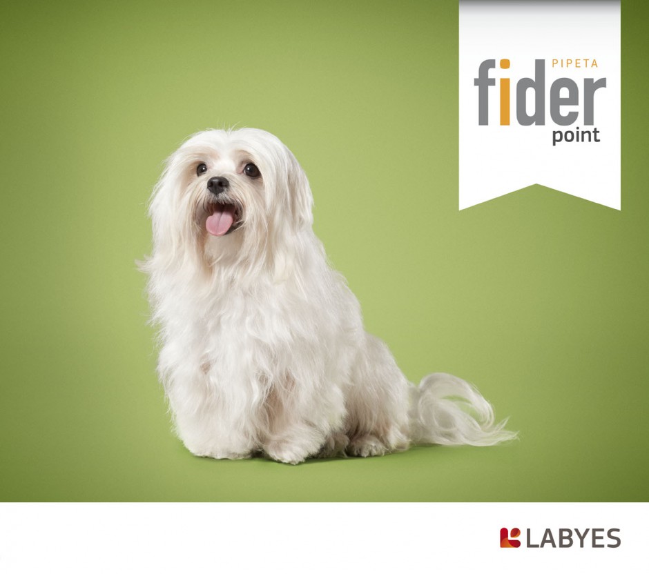 animals 12 - fider labyes