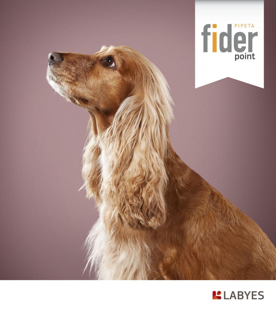 animals 13 - fider labyes