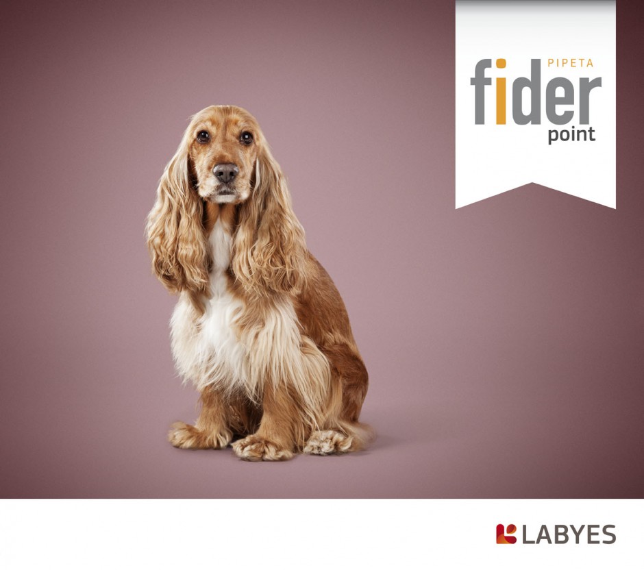 animals 14 - fider labyes