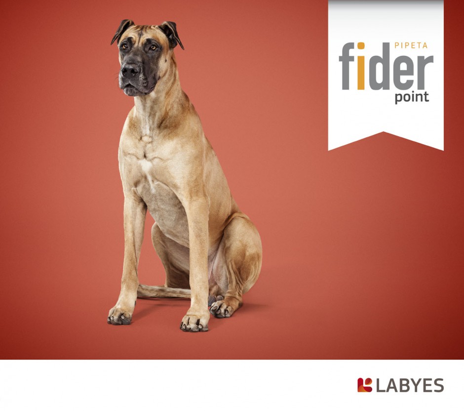 animals 18 - fider labyes